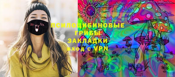 apvp Коряжма