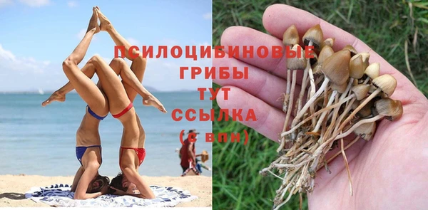 apvp Коряжма