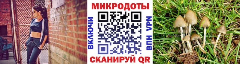 Галлюциногенные грибы ЛСД  Купить закладки  Артёмовск 
